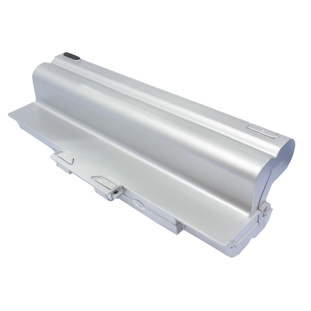 CS-BPS21DT